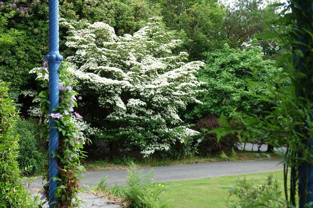 Borthwnog Hall Dolgellau Eksteriør billede