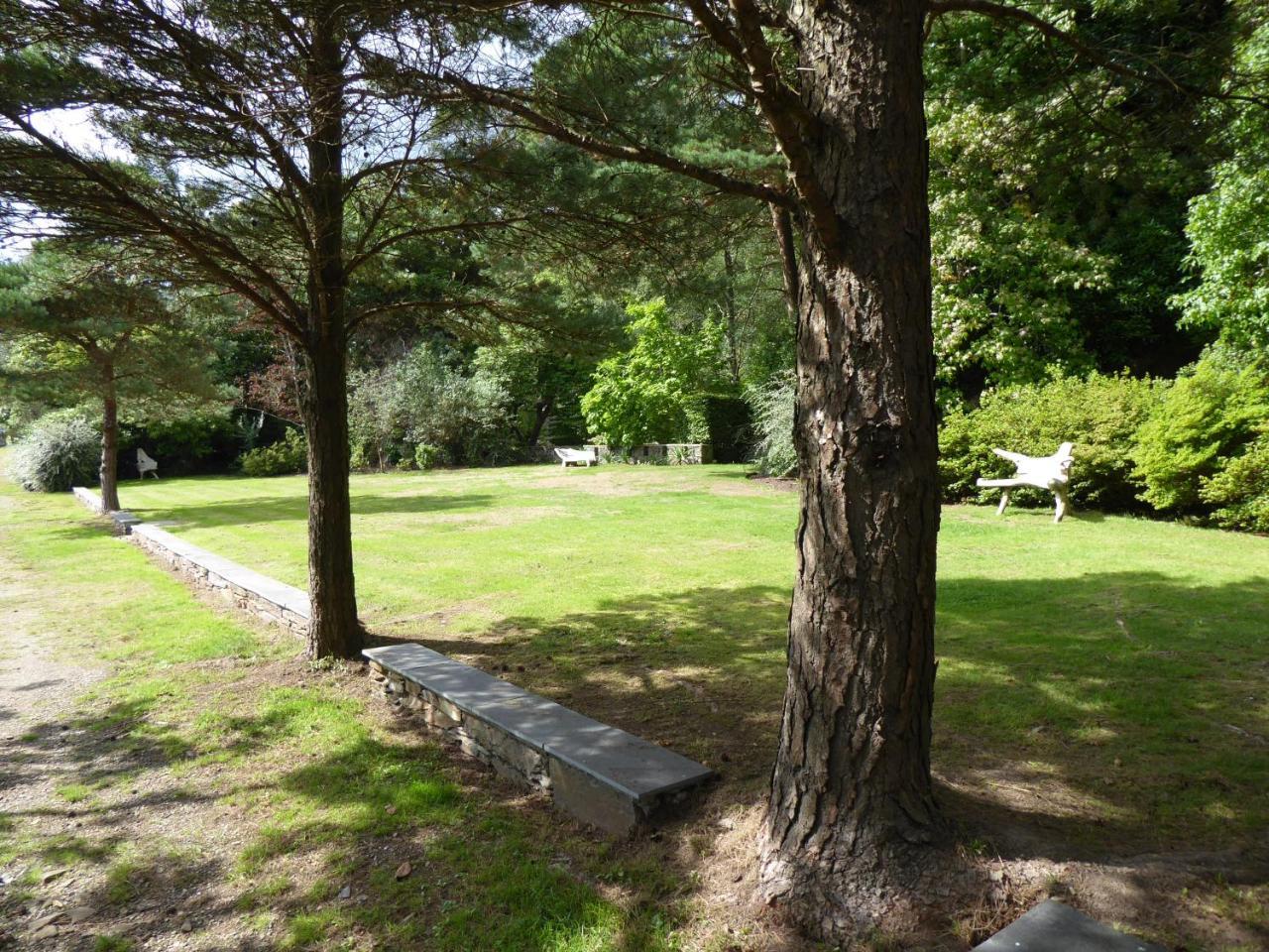 Borthwnog Hall Dolgellau Eksteriør billede