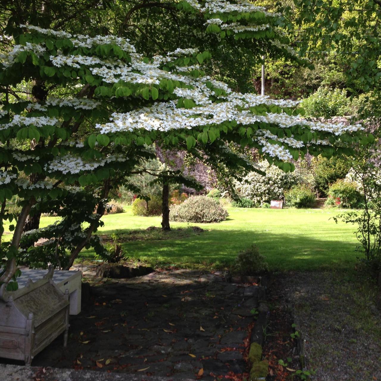 Borthwnog Hall Dolgellau Eksteriør billede